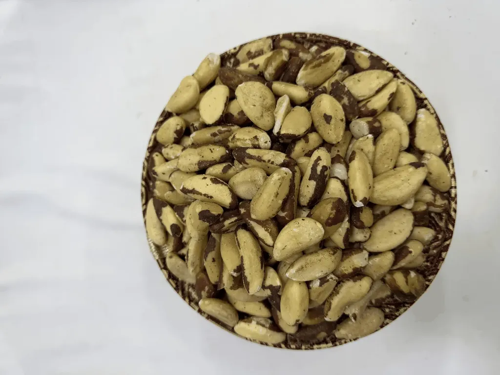 Noix du Brésil (جوز برازيل)